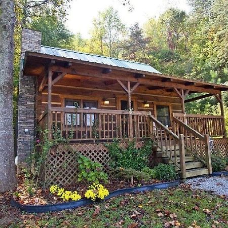 Peaceful Tellico View Home With Private Hot Tub Tellico Plains Exteriör bild